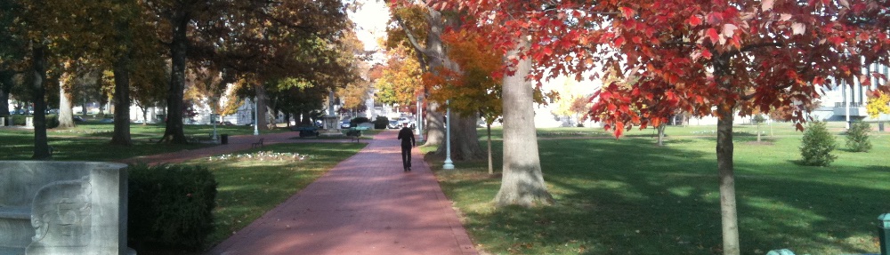 Template MyUSNA Hybrid SIte